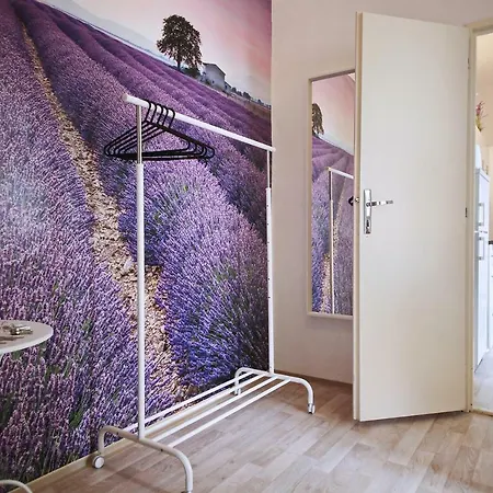 Appartement Havel Gallery *